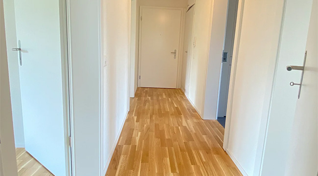 3.5 Zimmerwohnung Hofwiesenstrasse 285